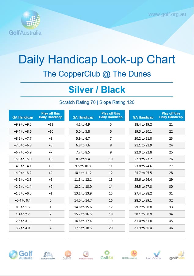Daily-Handicap-Mens-Silver-Black-2017.jpg